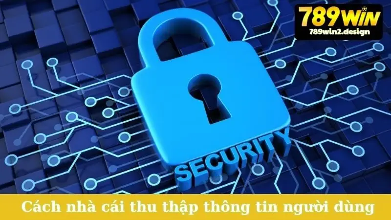 Cách nhà cái thu thập thông tin người dùng